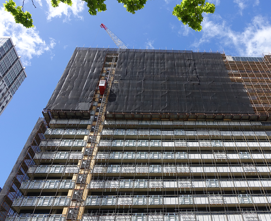 Scaffold